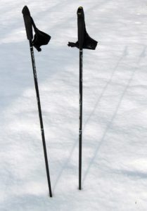 nordic walking poles