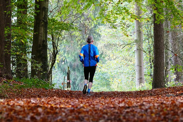 running program for seniors