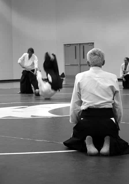 People performing aikido