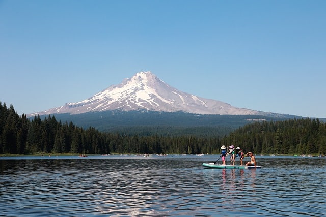 Paddle boarding in nature